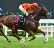 Tropaios winning under Corey Brown last month.<br>Photo by Singapore Turf Club